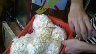 sbor-nashih-klounov-2
