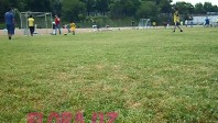 timbilding-7